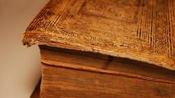 "سيبويه" ليس وحده.. أشهر 10 علماء قامت على أكتافهم "علوم اللغة العربية"
