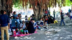 خلال أيام الأضحي.. 14 ألف زائر لحديقة الحيوان في الإسكندرية