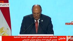 شكري: العام الحالي يشهد خطوات تاريخية على صعيد التعاون الإفريقي