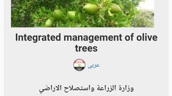 إطلاق تطبيق عبر الهاتف المحمول لخدمة مزارعي الزيتون