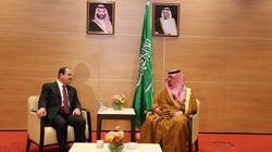 وزير الداخلية يناقش مع نظيره السعودي سبل التصدي للتنظيمات الإرهابية