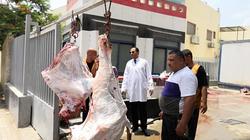 جامعة دمنهور تذبح عجلين للعاملين بها بسعر 100 جنيه للكيلو