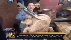 بالفيديو| مواطنون يأكلون لحوم السلحفاة البحرية: "الكيلو بـ200 جنيه"