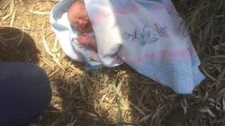 العثور على رضيع حديث الولادة على طريق «سندسيس» بالغربية