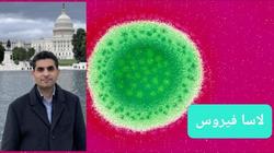 7 معلومات عن لاسا فيروس: ينتقل بالملامسة وعبر الأكل الملوث ويتوطن بإفريقيا