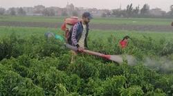 تركته حبيبته بعدما أخفى عنها مهنته.. سعد: «سابتني عشان فلاح وعندي أرض»