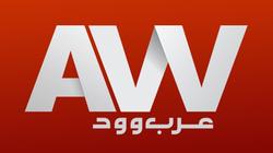 السخرية من مواعيد عرض «عرب وود».. والمذيع: «برنامج خفيف الظل»