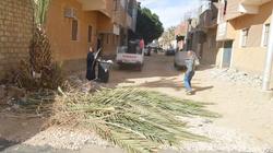 استمرار حملات النظافة ورفع المخلفات بمركز الخارجة في الوادي الجديد