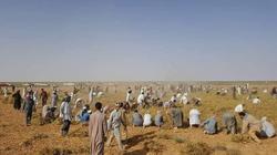 240 ألف فدان قابل للزراعة في الساحل الشمالي