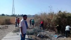 أسوان تنفذ أعمال إزالة نباتات الهيش والبوص داخل نطاق الجبانة الفاطمية