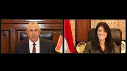 المشاط والقصير يبحثان مع شركاء دوليين المشروعات ذات الأولوية التمويلية