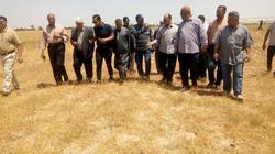 بدء حصاد محصول القمح في القنطرة شرق.. والفدان ينتج 17 أردبا
