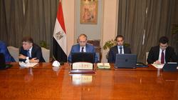 مصر تبحث مع 3 دول عربية تطورات الأزمة السورية