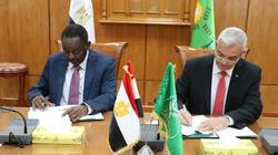 اتفاقية تعاون بين جامعتي المنوفية والسودان لتطوير برامج الدراسة المشتركة