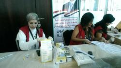 بينها "القاهرة والمنوفية".. محافظات المرحلة الثانية لمبادرة فيروس "سي"