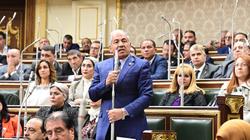لجنة الدفاع بـ«النواب»: التوصل إلى اتفاق الهدنة الإنسانية في غزة دليل على قوة مصر