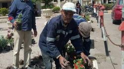 وفاة موظف أثناء أداء عمله في كفر الشيخ.. «كان بيزرع شجرة وسقط فجأة»