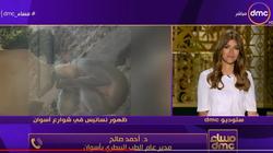 "هو نسناس وقردين".. "بيطري أسوان" يرد على انتشار الحيوانات بالشوارع