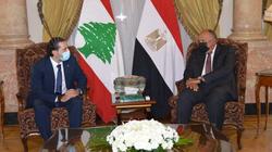 شكرى يؤكد للحريري دعم ⁧‫مصر للبنان للخروج من الوضع الحالي «صور»