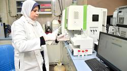 رحلة عينة الغذاء الآمن داخل المعمل.. تبدأ بـ«الطحن» وتنتهي بـ«التحليل»