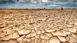 علماء يكشفون عن الأماكن الأكثر عرضة للجفاف الكارثي في العالم