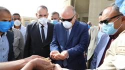توريد 11329 طن قمح لصوامع قنا
