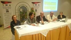 مركز إعلام رفح يناقش المشروعات القومية ودورها في الاستثمار والتنمية