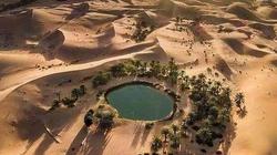 رحلات سياحية إلى واحة سيوة للأجانب والمصريين.. كنز تراثي