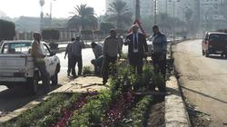 بالصور| رئيس "كفر الشيخ" يوجه بتجميل شوارع المدينة