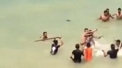 إصابة شخصين في مشاجرة بمطروح