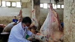 بيطري الغربية: فتح مجازر المحافظة بالمجان وحملات لضبط المخالفين
