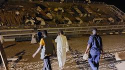 وسائل إعلام سودانية: نفوق أكثر من 15 ألف رأس ضأن بسبب الباخرة «ميلان»