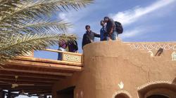 جهاز تنمية مدينة أسوان: طرح مناقصتين لصيانة وحراسة المسطحات الخضراء