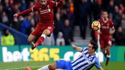 بالتردد| قناة مجانية تنقل مباراة ليفربول وبرايتون في الدوري الإنجليزي