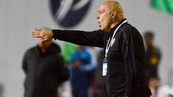 الزمالك يجدد الثقة في «جروس» بعد التعادل مع طلائع الجيش