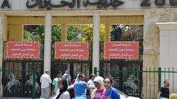 موعد افتتاح حديقة الحيوان بالجيزة.. تكامل سياحي وترفيهي غير مسبوق