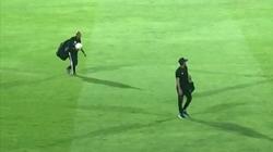 جماهير الأهلي تطلب من «عم حارث» الصعود للمدرجات