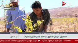 مواطن: تبرعت للمجهود الحربي ليعرف أبنائي أن هناك من يحاربون من أجلنا