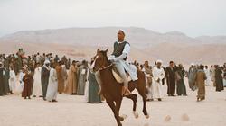 فرح «شيخ الأدارسة».. ذكر ومديح وتحطيب ومرماح خيل