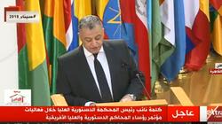 نائب رئيس "الدستورية": العلاقات بين مصر ودول إفريقيا تاريخية ووثيقة