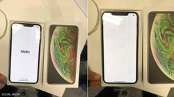 بالصور| الكشف عن أول مشكلة بشاشة آيفون "XS Max" يوم وصوله للأسواق