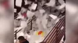 بالفيديو| طلاب يحتفلون بنهاية العام الدراسي بإلقاء الأوراق في أمريكا