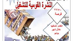 2750 وظيفة من «القوى العاملة» خلال يونيو: رواتب تصل لـ6 آلاف جنيه