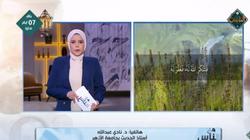 أستاذ بالأزهر: الغرب أخذوا محاسن ديننا وزينوا بها حياتهم (فيديو)