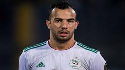 آخرهم مدافع الجزائر.. أجانب أعلنوا تفضيلهم الأهلي عن الزمالك