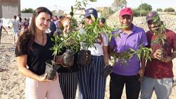 متطوعون من جامعات ومدارس ألمانية يزرعون 1300 شجرة بالأقصر