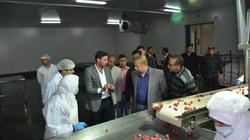محافظ الإسماعيلية يتفقد 5 مشروعات استثمارية بتكلفة 500 مليون جنيه