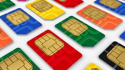 وصول عدد مستخدمي الإنترنت إلى 62 مليون مستخدم في مصر