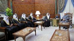 وفد إماراتي لـ"الطيب": جهودكم ملموسة في نشر السلام والوسطية