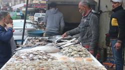 انخفاض أسعار الأسماك في الأسواق اليوم السبت 25-11-2023